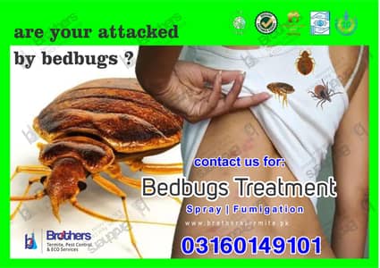 bed bugs spray/termite/pest control/Deemak control service /cockroach