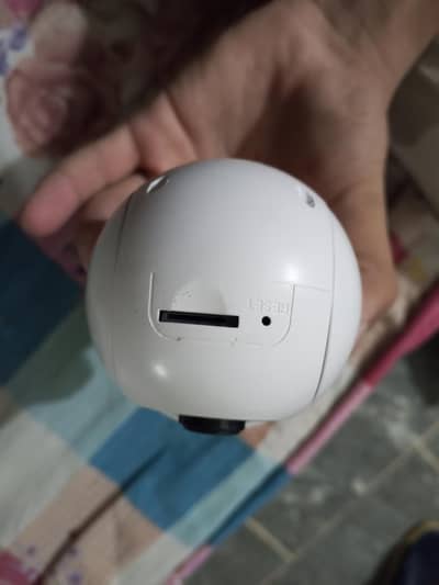 blub holder cemera