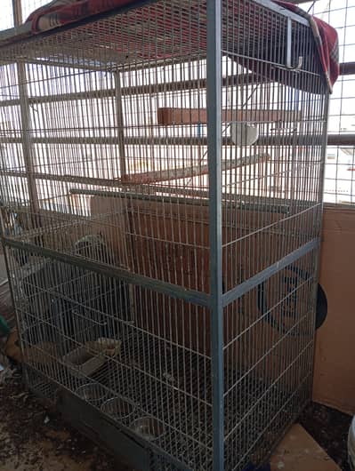 Two cages