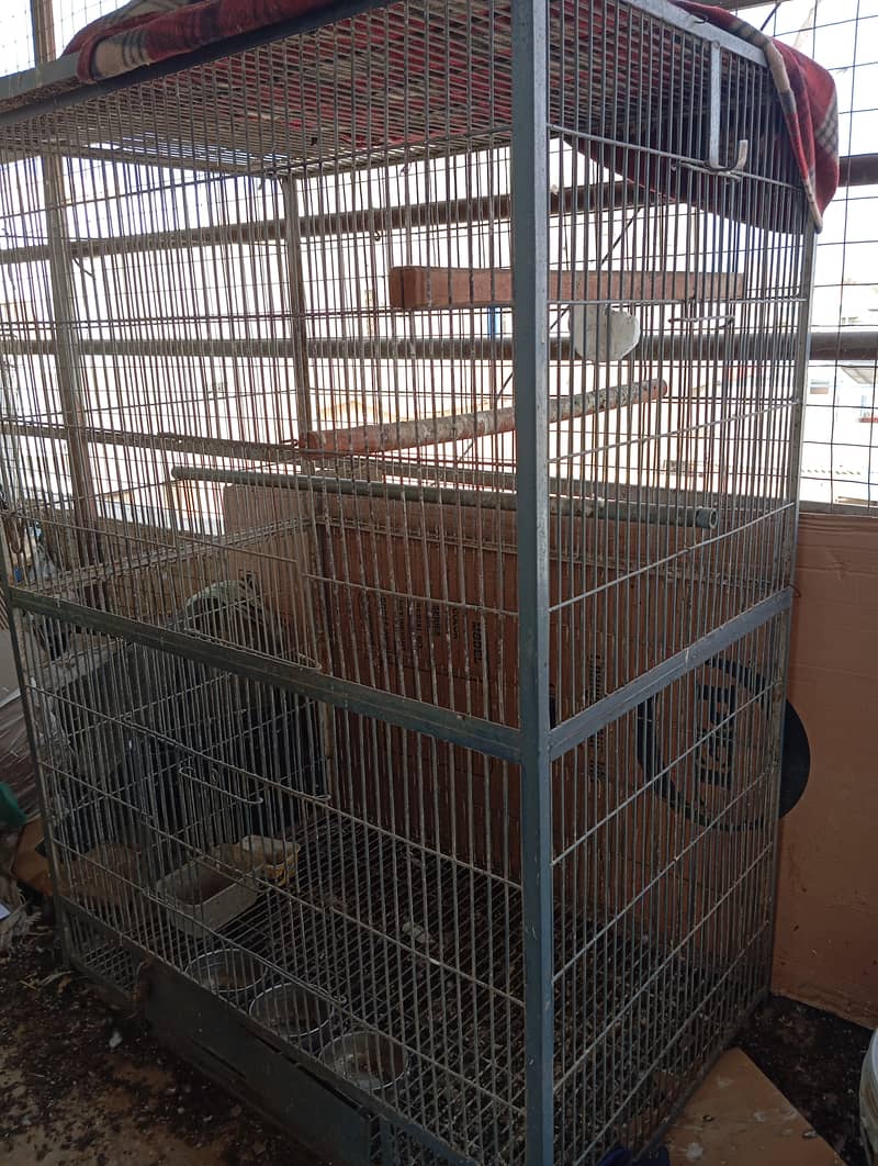 Two cages 0