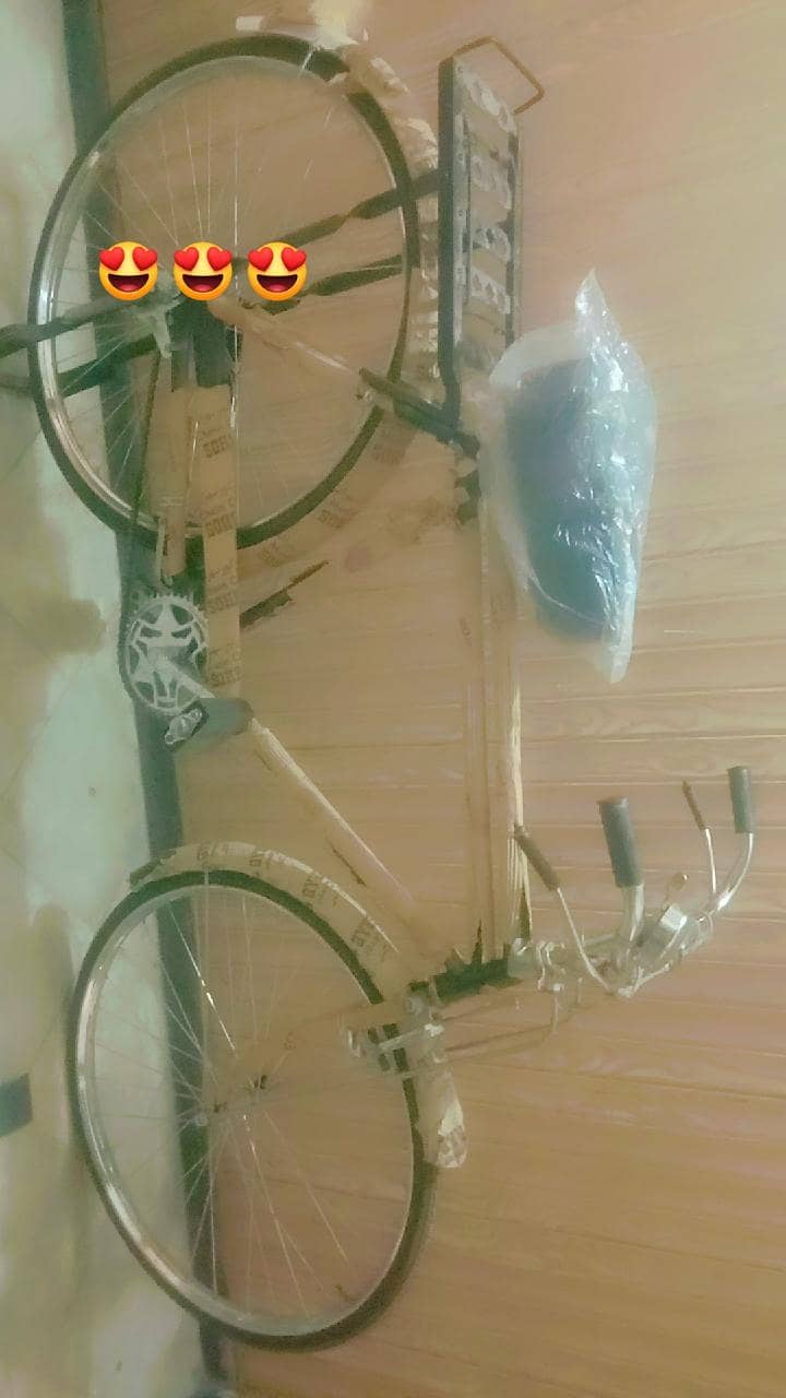 Bicycle 0