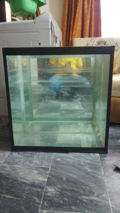 Aquarium for sale