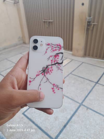Apple iPhone 12