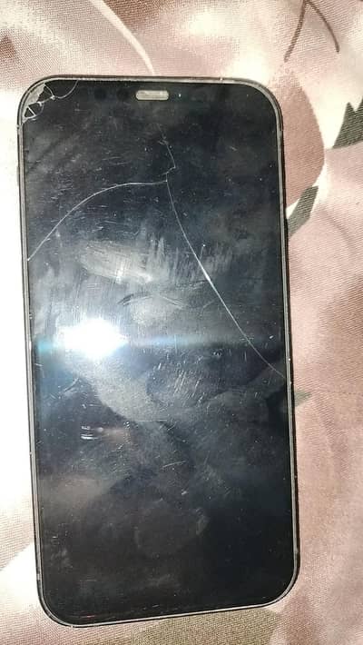 Apple iPhone 12