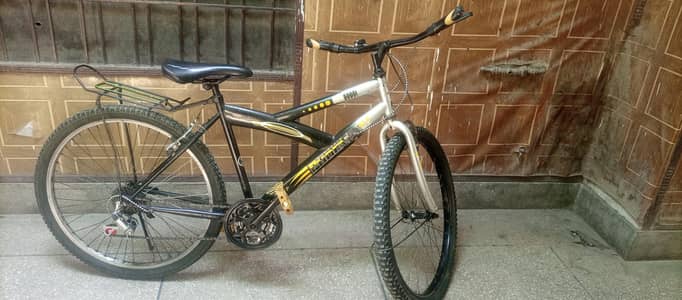 Phoenix Bicycle with gears