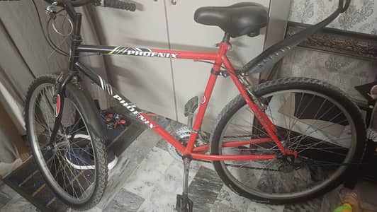 phonix cycle