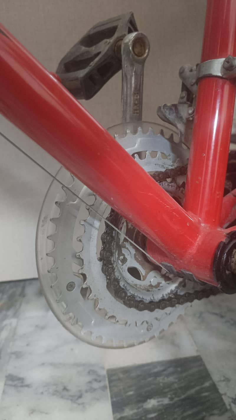 phonix cycle 4
