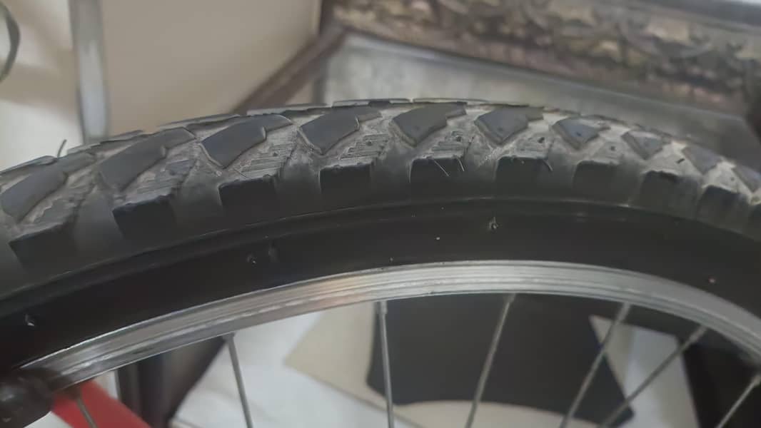 phonix cycle 6