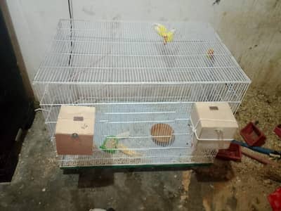 big size cages for sale