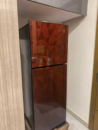 Glass two door PEL fridge