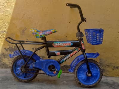 baby new cycle
