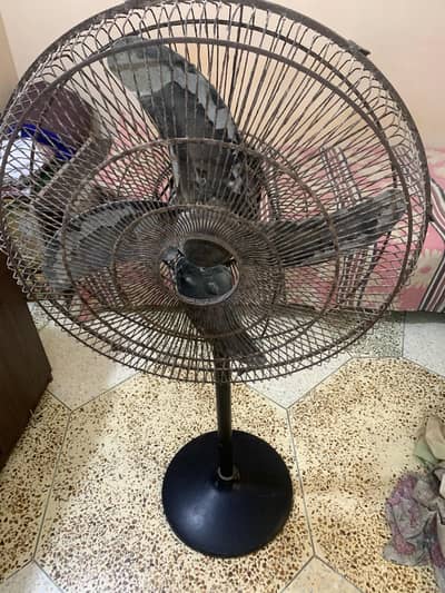 Royal Pedestal fan