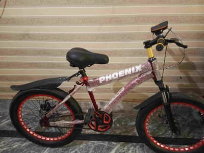 Phoenix Bicycles