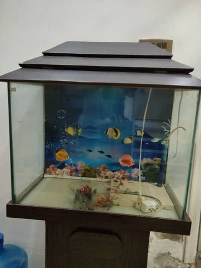 Aquarium for sale