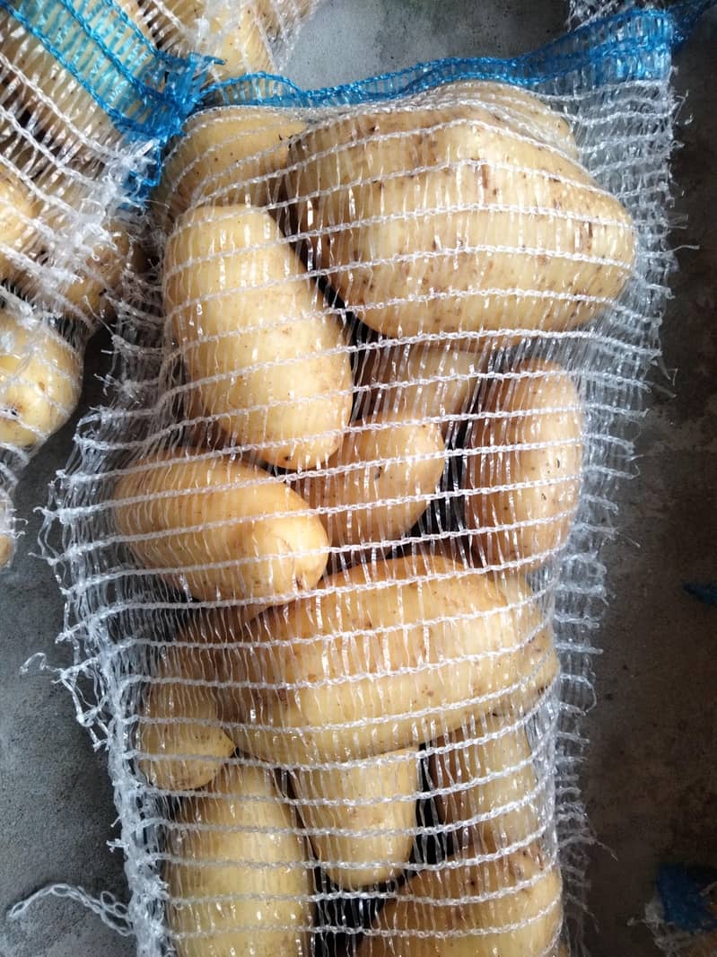 potato 0