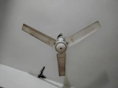 7 fans for sale good condition