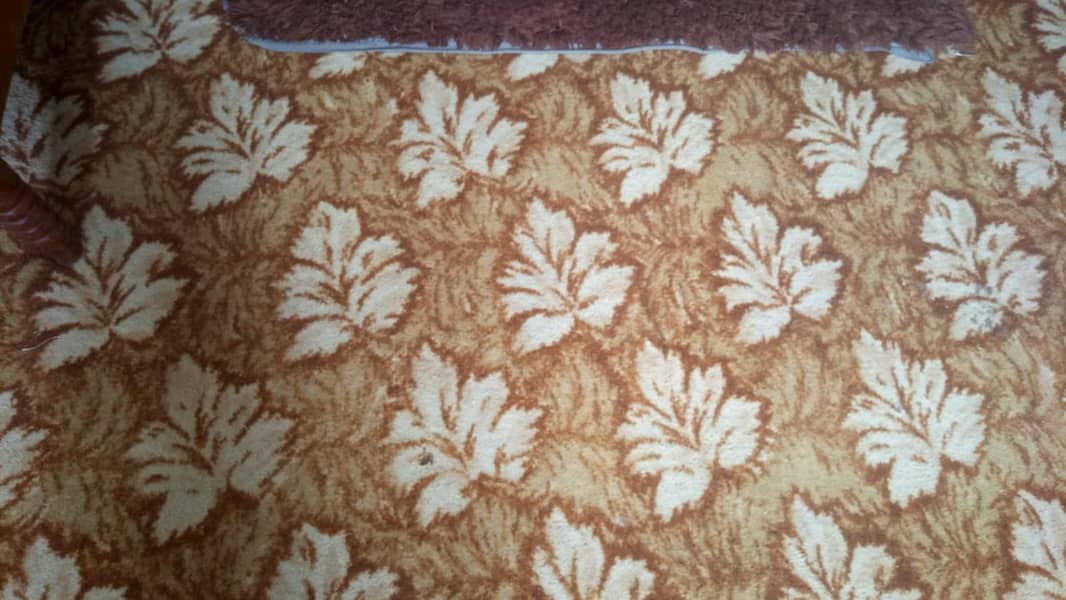 carpet 1