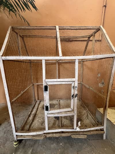 birds cage for sale