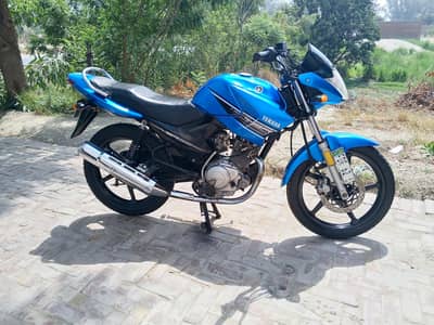 Yamaha ybr 15/16 model golden number 62 urgent sale