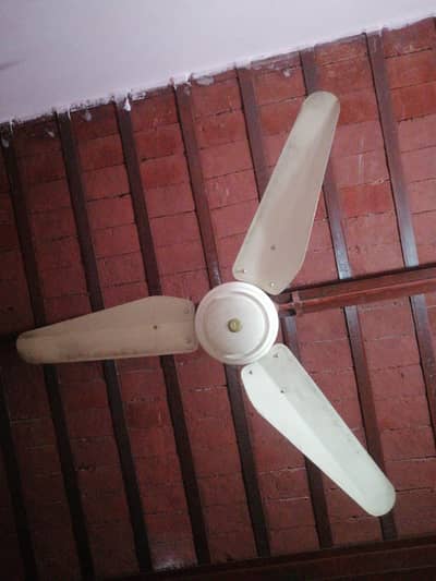 220 volt Celling Fan