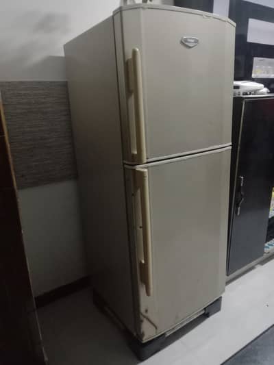 haier fridge