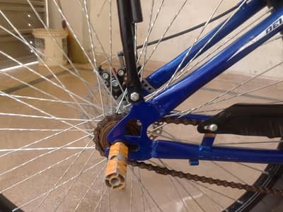 Fully new cycle gaint cycle deluxe and disk brake front and back
