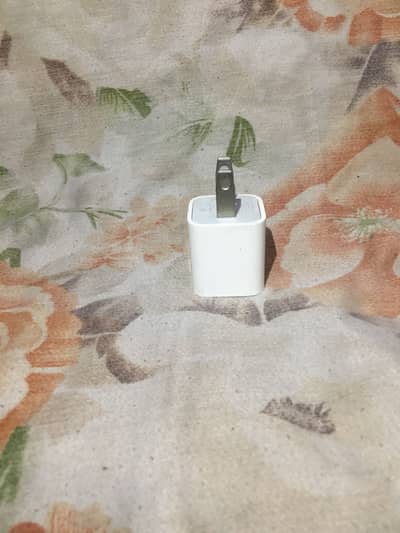 iPhone org charger