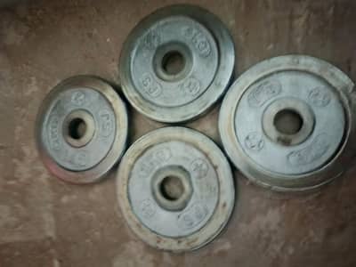 chrome dumbell plates