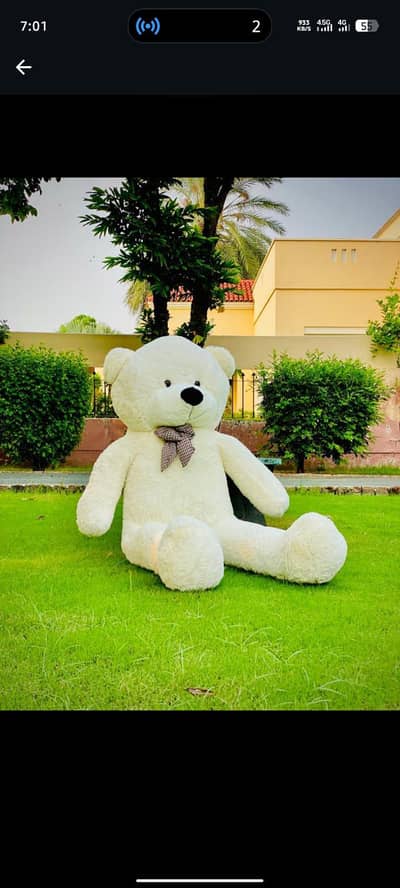 Teddy bear#Stuff toys#Imported teddy#Gaint teddy