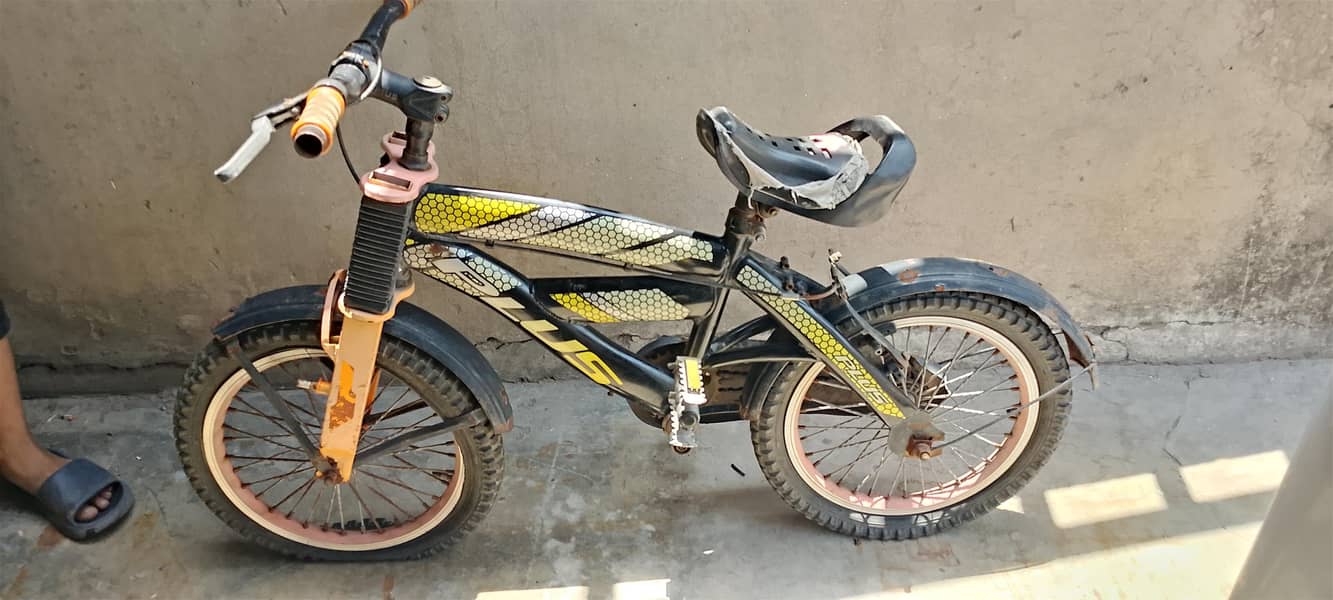 cycle 2