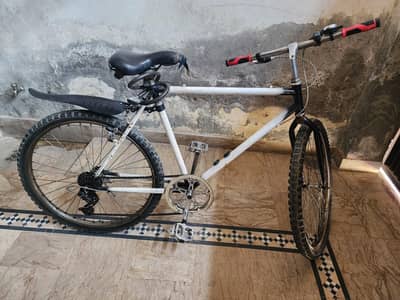 Phoenix Bicycle