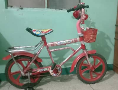 New Cycle 2 Month Used.