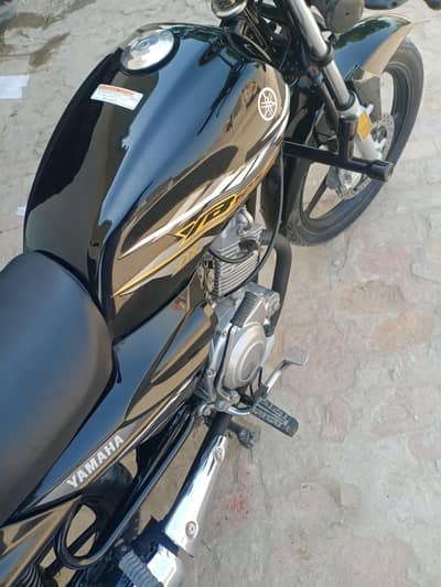 2022 model Yamaha Ybz dx fresh bike