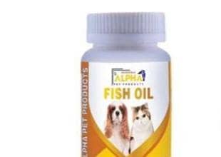 cats and dogs suppliments