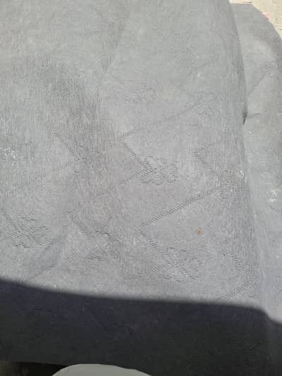 carpet