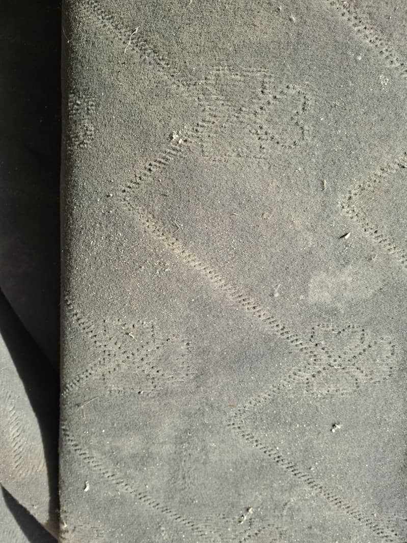 carpet 1