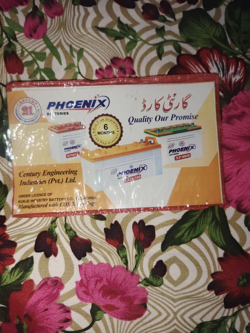 Phoenix 4