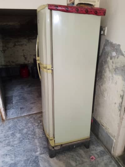 fridge