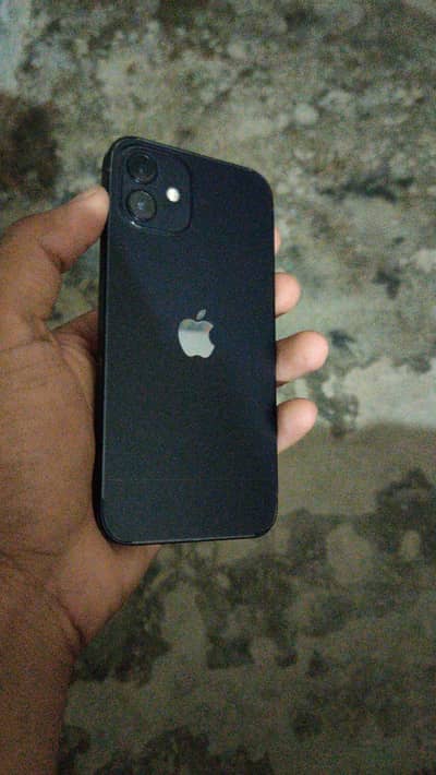 Apple iPhone 12 water pak 10by10 water test
