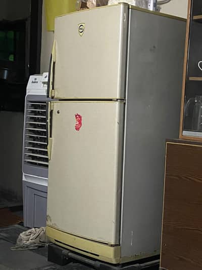 fridge medium size