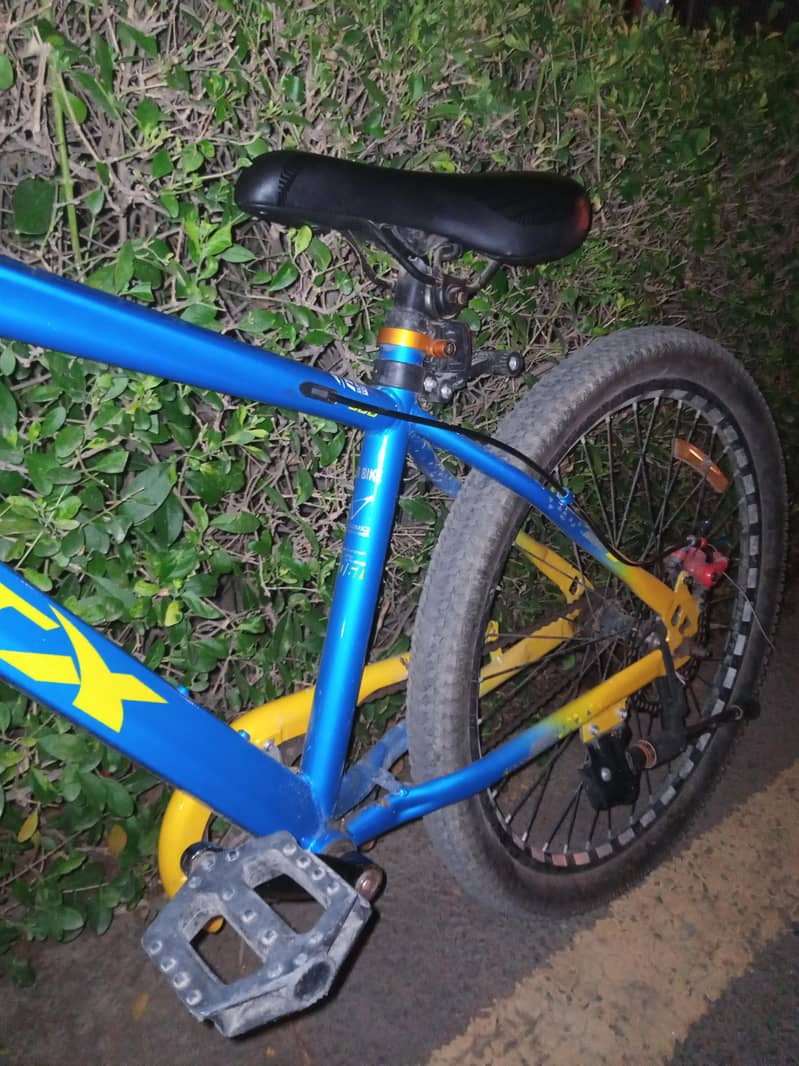 MTB cycle 4