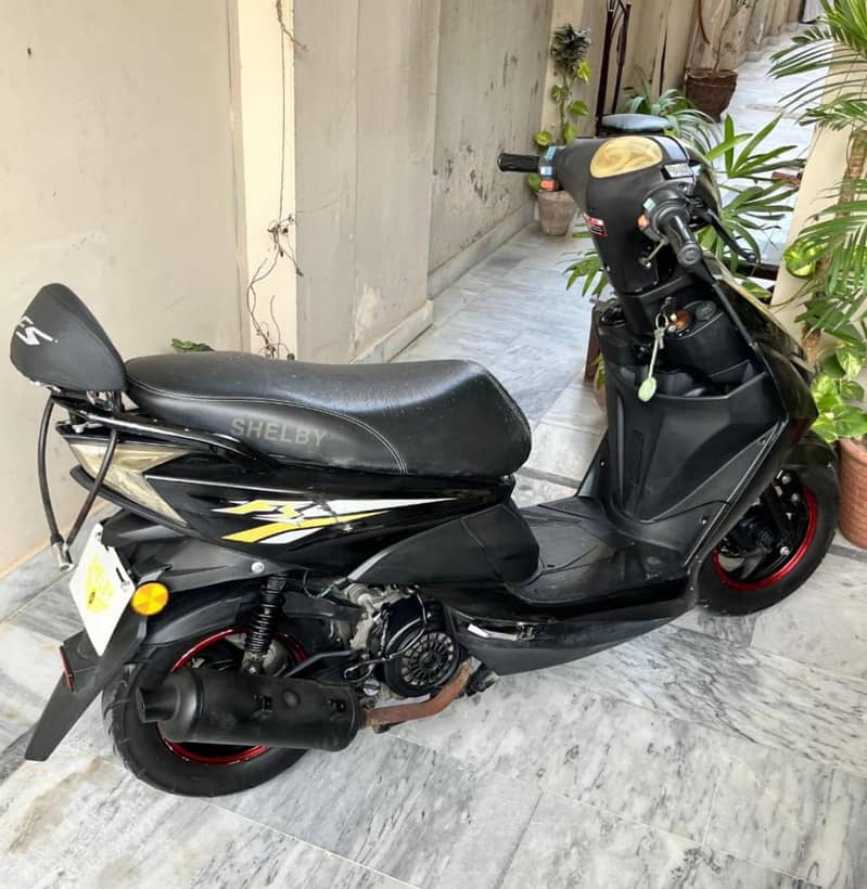 Shellby Scooty 1