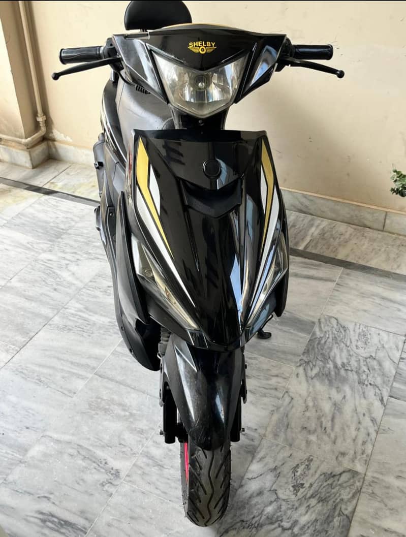 Shellby Scooty 3