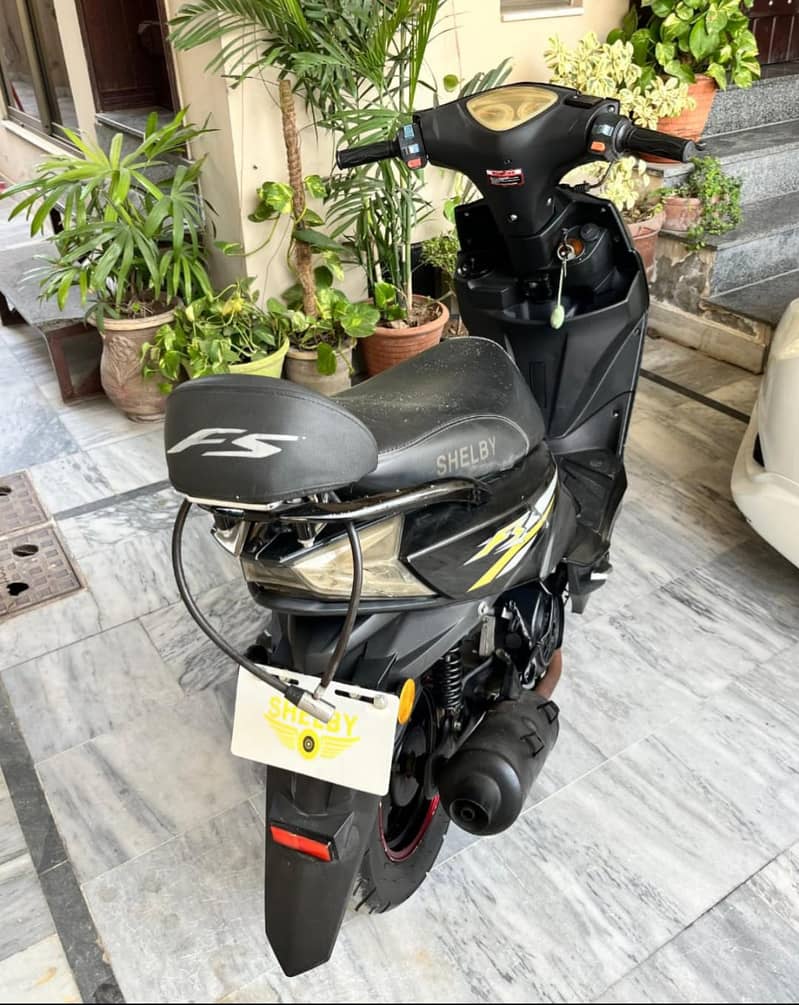 Shellby Scooty 6