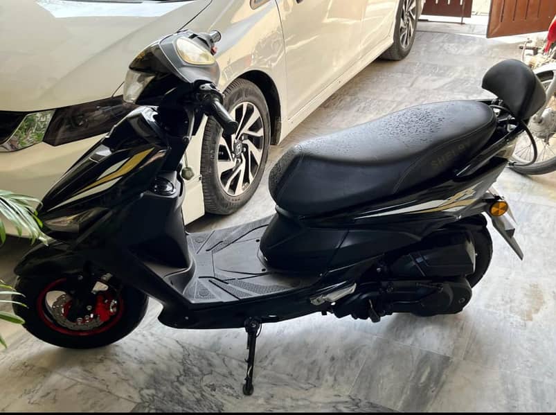 Shellby Scooty 8