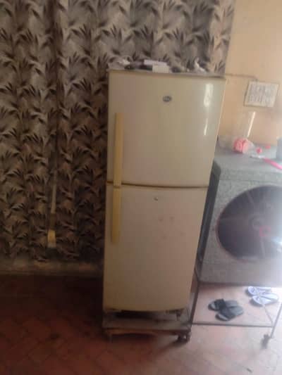 fridge