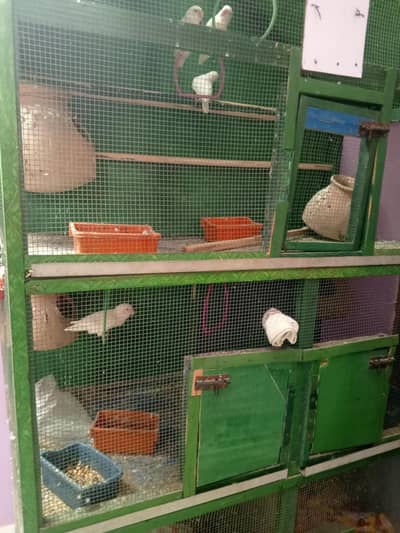 wood cage