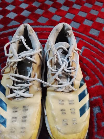 Cricket Shoes (Adidas Spikes)