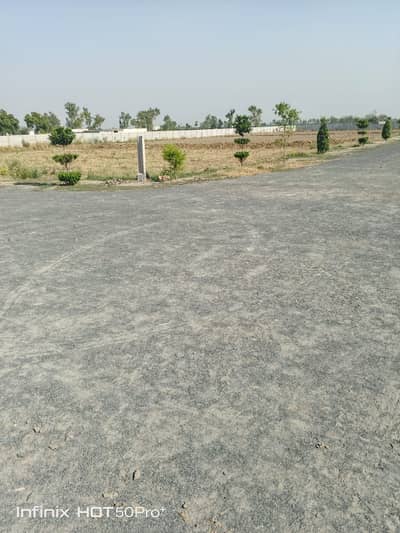 BARKI MEADOWS