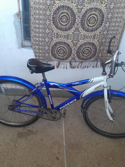 PHOENIX BICYCLE